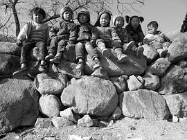 又見涼山 圖4