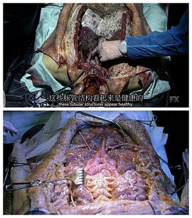 血族 第一季 圖3