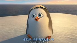 播放企鹅的电影 图8