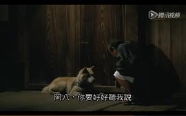 日本忠犬八公中文版 图3