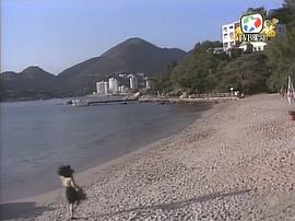 1990年香港电视剧 图4