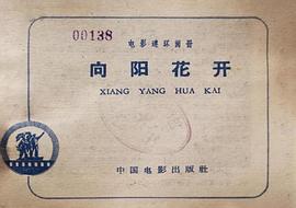 向陽花開 圖6