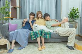 三日月與貓 圖1