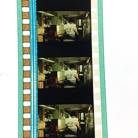 伍德斯托克音樂節(jié)1999 圖2