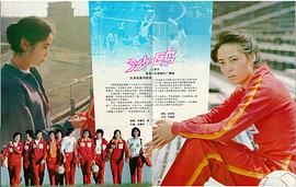 沙鷗 圖9