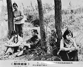 酸辣姻緣 圖8