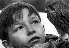 小男孩与鹰的故事是什么电影 图2