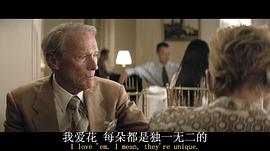 骡子 图7