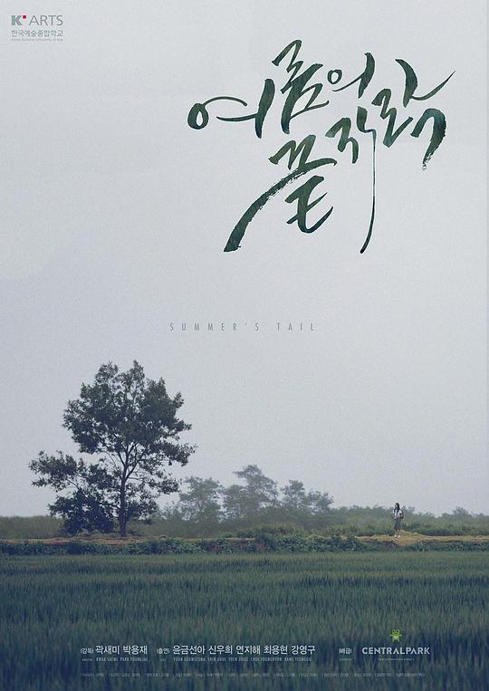 窗外的风景作文800
