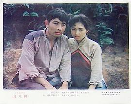 生死樹 圖1