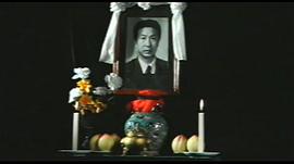 人皮 圖6
