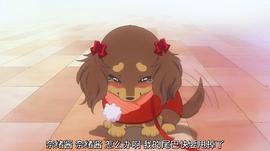 巧克力小狗 圖5