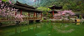 新桃花源記 第一季 圖3