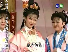 皇甫少華與孟麗君 圖6