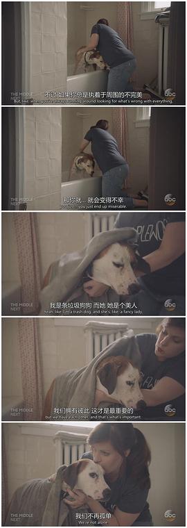 萌犬先生 圖4