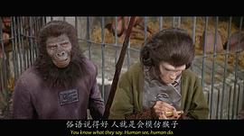 人猿星球中文版 图3