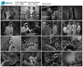金剛之子 圖6