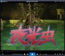 夜光蟲 圖2