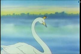 天鵝湖 圖4