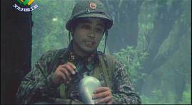 綠色的網(wǎng) 圖9