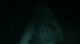 十大深海恐怖电影 图8