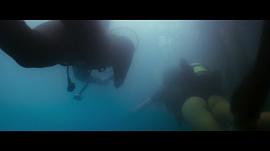 电影深海巨鲨3大结局 图10