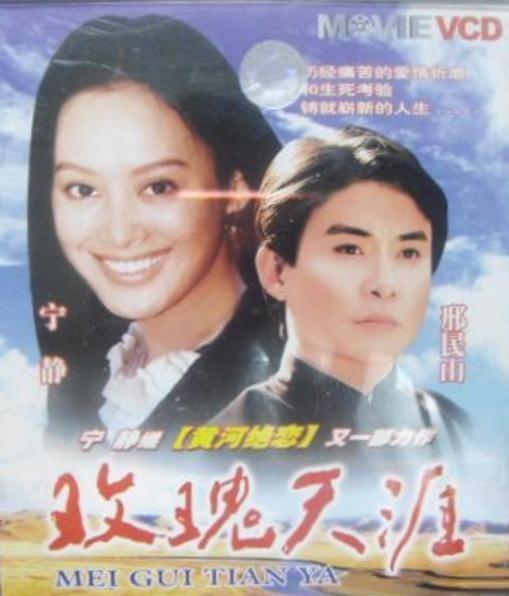 1993年上映的电影