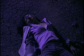 職業(yè)女特工 圖6