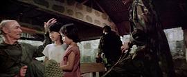 野鵝敢死隊(duì)續(xù)集 圖5