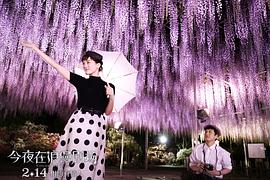 今夜在浪漫劇場 圖10