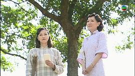 蔡鍔與小鳳仙 圖8