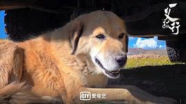 一義孤行 圖7
