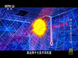 精靈怪物：瘋狂之旅 圖5