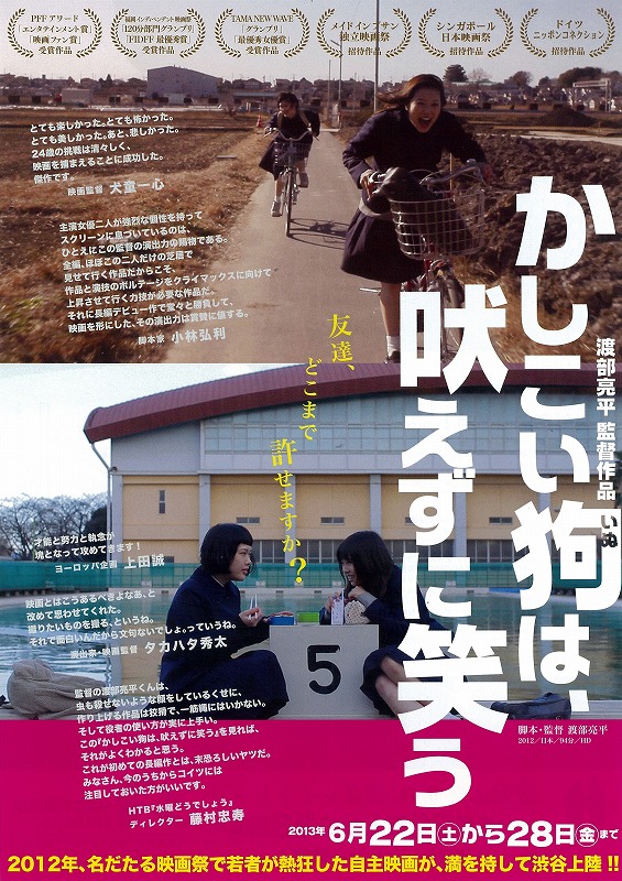 聰明的狗不吠反笑