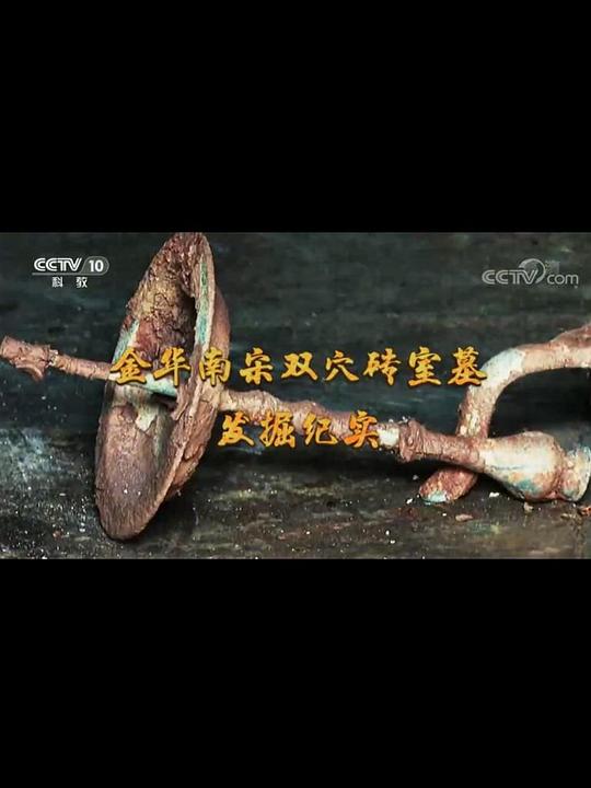 关于墓葬挖掘的纪实节目