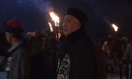 蓮花 圖7