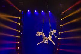 P!NK：我所知道的一切 圖6