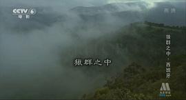 五百電影 圖6