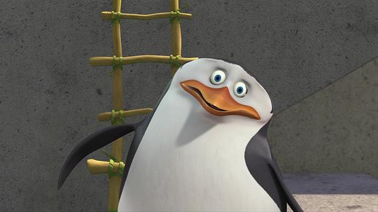 马达加斯加的企鹅动画片国语全集