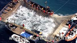 超魚 圖3