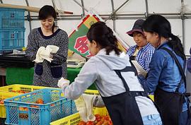 三星营养午餐 下载 图2