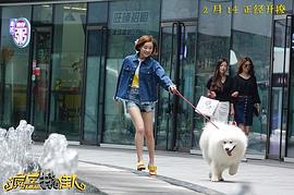 瘋岳撬佳人 圖2