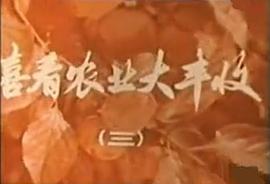 喜看農(nóng)業(yè)大豐收 圖4