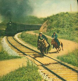 老版《铁道游击队》 图5