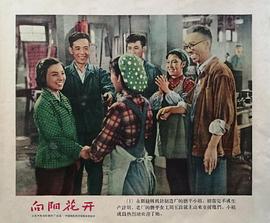 向陽花開 圖8