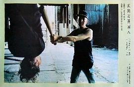 黑色戀情 圖5