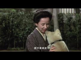 日本忠犬八公中文版 图5