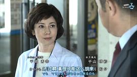 科搜研之女 第16季 圖4