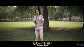 消失的情人节 图7