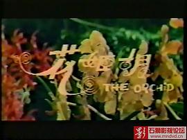 胡姬花 圖2